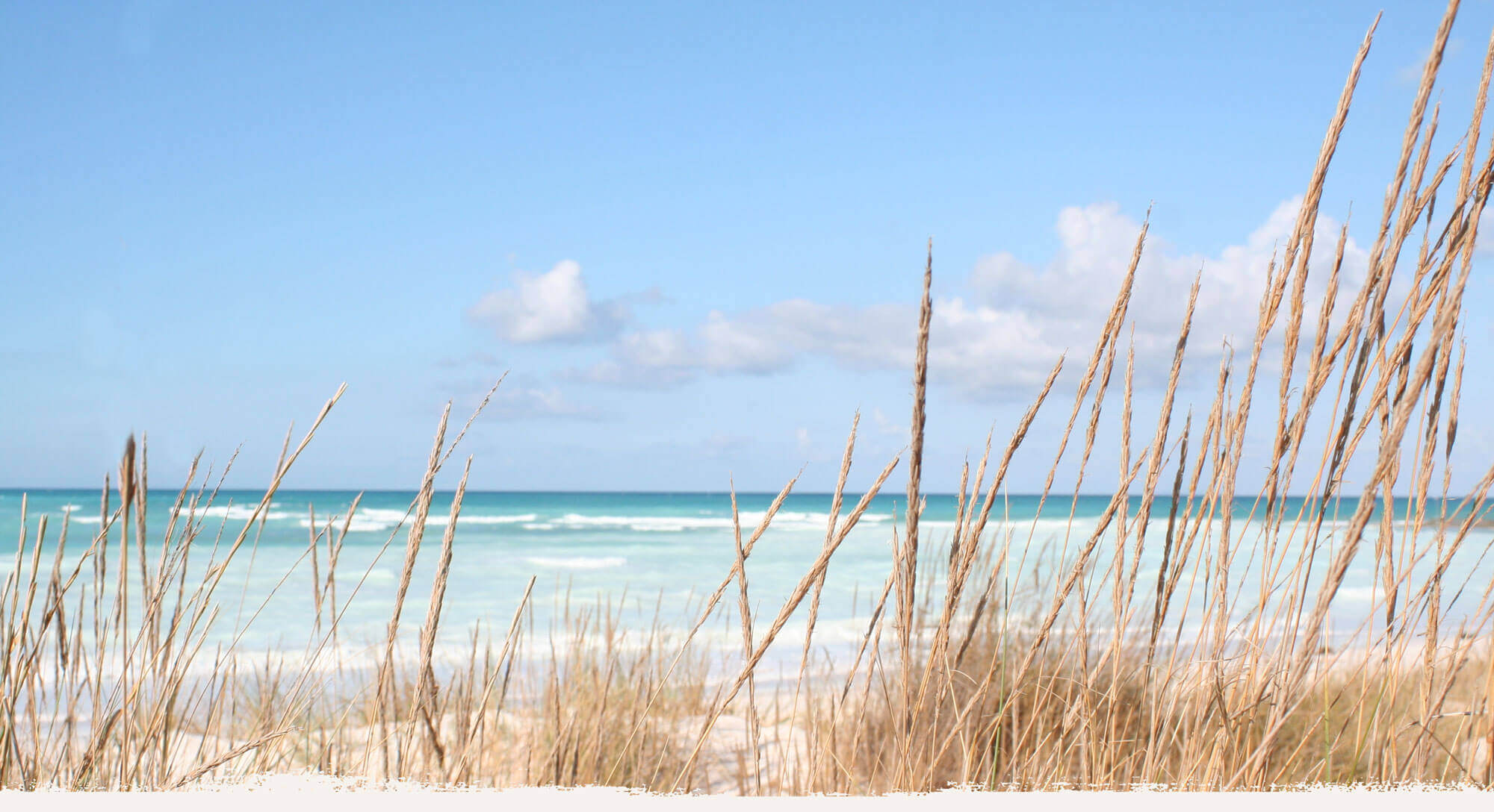 Beach image